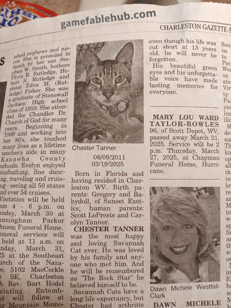 charleston gazette obituaries